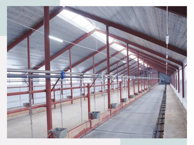 Строительство коровников в Кропоткине от 652 руб.