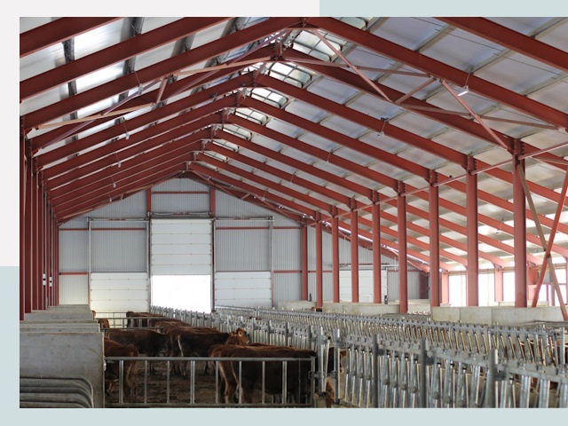 Строительство коровников в Кропоткине