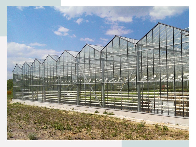Строительство теплиц в Кропоткин от 652 руб. за м²